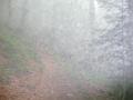 Garbet2009 002